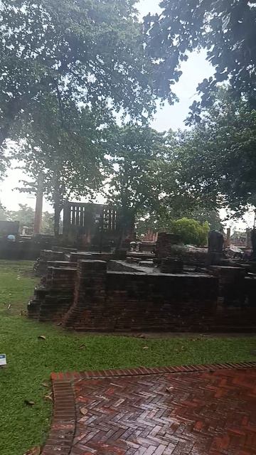 Как природа хранит память о войне смотреть онлайн