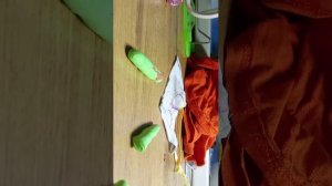 тренировка на лошади