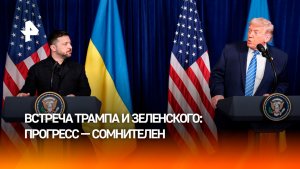Сомнительный прогресс в диалоге с Киевом: к чему пришли Трамп и Зеленский