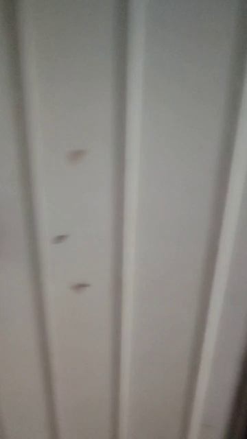 Мечникова смотреть онлайн