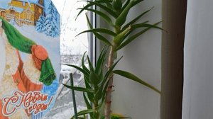 Кошмар какой