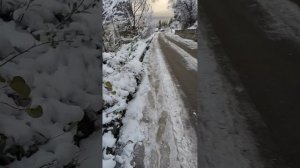 Дневной снег в Ялте 29.12.2025