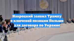 Навроцкий счёл польскую позицию ключевой для мирной сделки по Украине