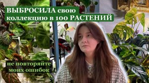 Выбросила растения. Не повторяйте эту ошибку. Что будет дальше?