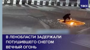 В Ленобласти задержали потушившего снегом Вечный огонь