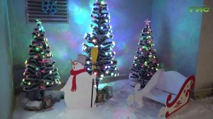 Волшебство своими руками: в Самаре подвели итоги конкурса новогоднего оформления дворов и фасадов