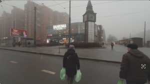 Туман на Проспекте Просвещения