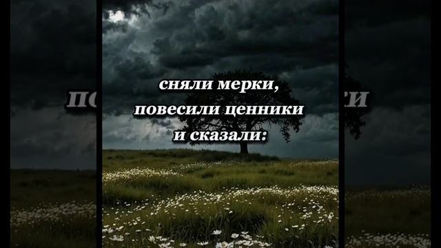 InShot_20251229_063619505.mp4 смотреть онлайн