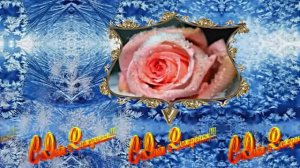 С Днём Рождения! Зимняя Сказка из Роз 1 от Киностудии Мудрого Кота Тимофея!!!