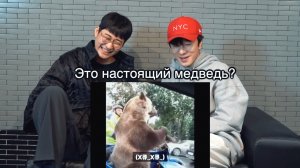 Россия глазами корейцев: ТОП смешных и необычных моментов! | Song Wonsub