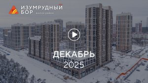«Изумрудный Бор»: ход строительства, ноябрь 2025