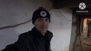 ‼️Вес месячных поросят‼️