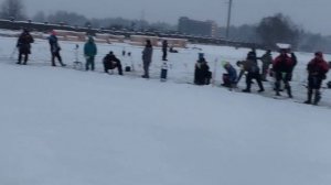 Зарыбление