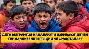 ДЕТИ МИГРАНТОВ НАПАДАЮТ И ИЗБИВАЮТ ДЕТЕЙ ГЕРМАНИИ!!! ИНТЕГРАЦИЯ НЕ СРАБОТАЛА!!!
