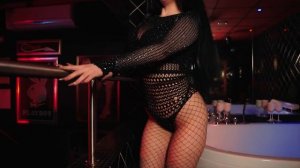 Max Peaks - Can't hide