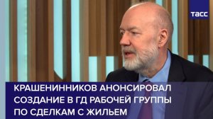 Крашенинников анонсировал создание в ГД рабочей группы по сделкам с жильем