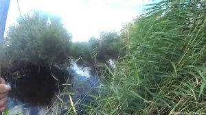 Нашли маленькую заросшую речку и давай в ней таскать на паук подъёмник.