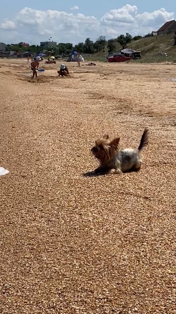 IMG_0859 смотреть онлайн