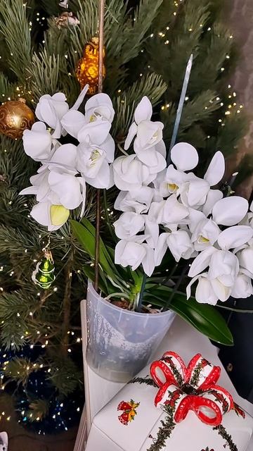 Урал❤️ смотреть онлайн