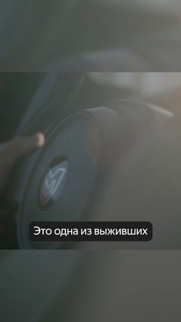 А что есть в вашем сарае?😅 смотреть онлайн