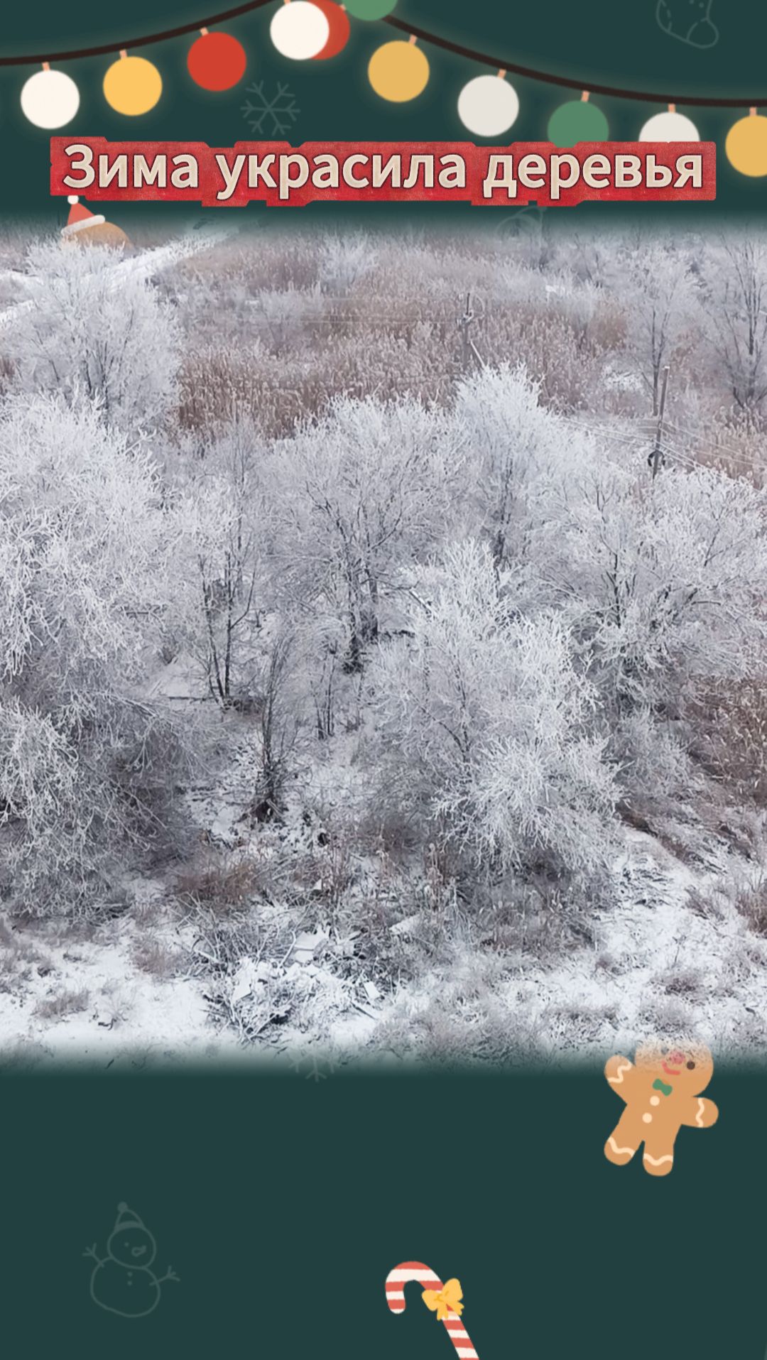 Зима украсила деревья! Очень красиво! смотреть онлайн