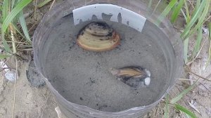 Как закапывается спизула