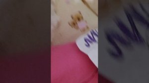 Вечерний вечер