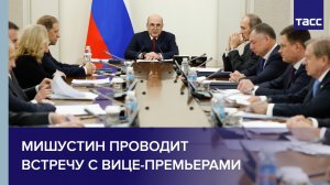 Мишустин проводит встречу с вице-премьерами