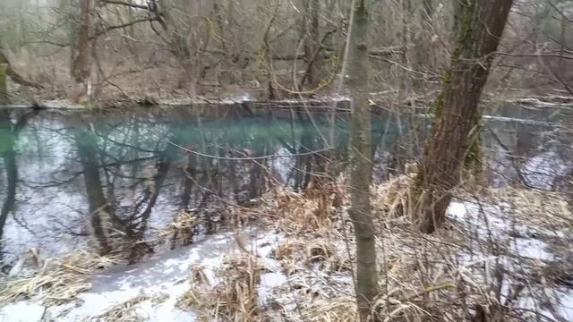 река Дубрава село Туртень 21 декабря 2025 смотреть онлайн