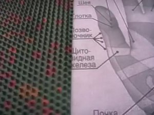 Как решать проблемы с поясницей?