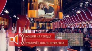 Появилась "звезда": в "Пусть говорят" рассказали о первой кошке Юрия Куклачева