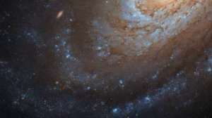 П. Зыкова "Разговор" для виолончели с оркестром Исп.: Симф. орк. ННГК им М.И. Глинки. Дир-Е.Кириллов