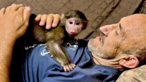 У Влада в руках шубутная Анфиса как пластилин, что хочешь, то и делай))