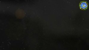 ДЕАФ ПОДВОДНАЯ ОХОТА С НОВЫМ ГОДОМ! 2026