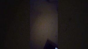 новогодний влог