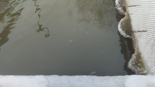 video5372909228648340878 смотреть онлайн