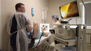 Колоноскопия без наркоза. Полное видео. Реальный отзы?