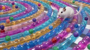 ИИ АНИМАЦИЯ| ЗАЛИПАЛКИ