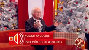 "Это была первая звезда". Как в доме Юрия Куклачева появилась первая кошка-артистка. Пусть говоря...