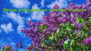 Весна распустила зеленые листья ... Песня