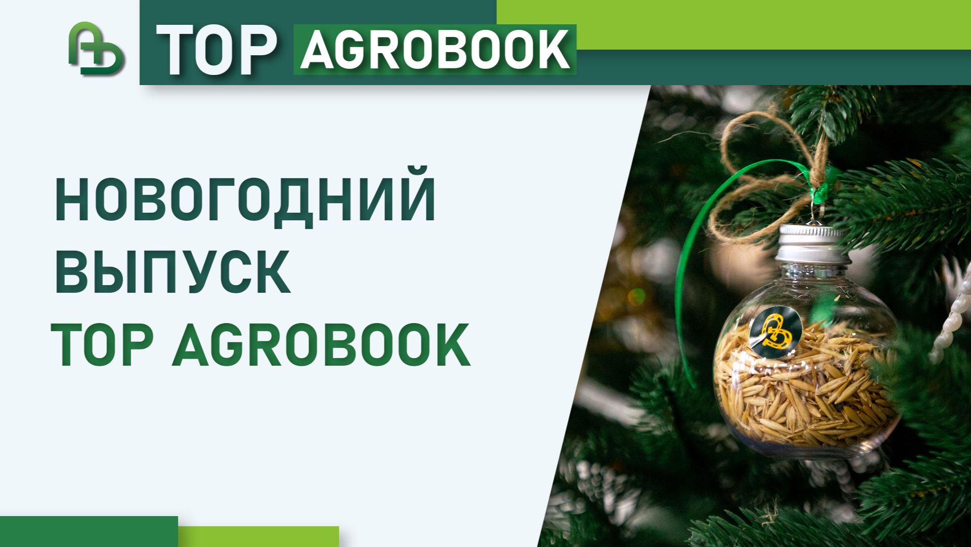 Новогодний выпуск TOP Agrobook смотреть онлайн