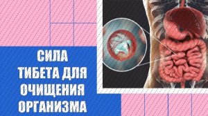 ✔ Как удалить паразитов из печени человека ⚪ Антигельминтными препаратами