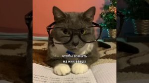 [УКРАИНА] Котинет. Новогодний Выпуск - #2