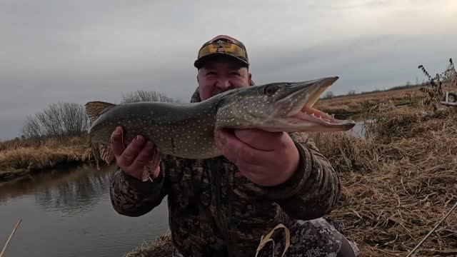 ЩУКА С КАЖДОГО ЗАБРОСА, КОРОЛЕВСКАЯ РЫБАЛКА смотреть онлайн