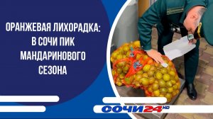 Оранжевая лихорадка: в Сочи пик мандаринового сезона