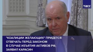 "Коалиции желающих" придется отвечать перед законом в случае изъятия активов РФ, заявил Карасин