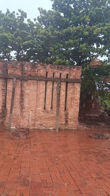 Тайский лес поглотил город — и сохранил его смотреть онлайн