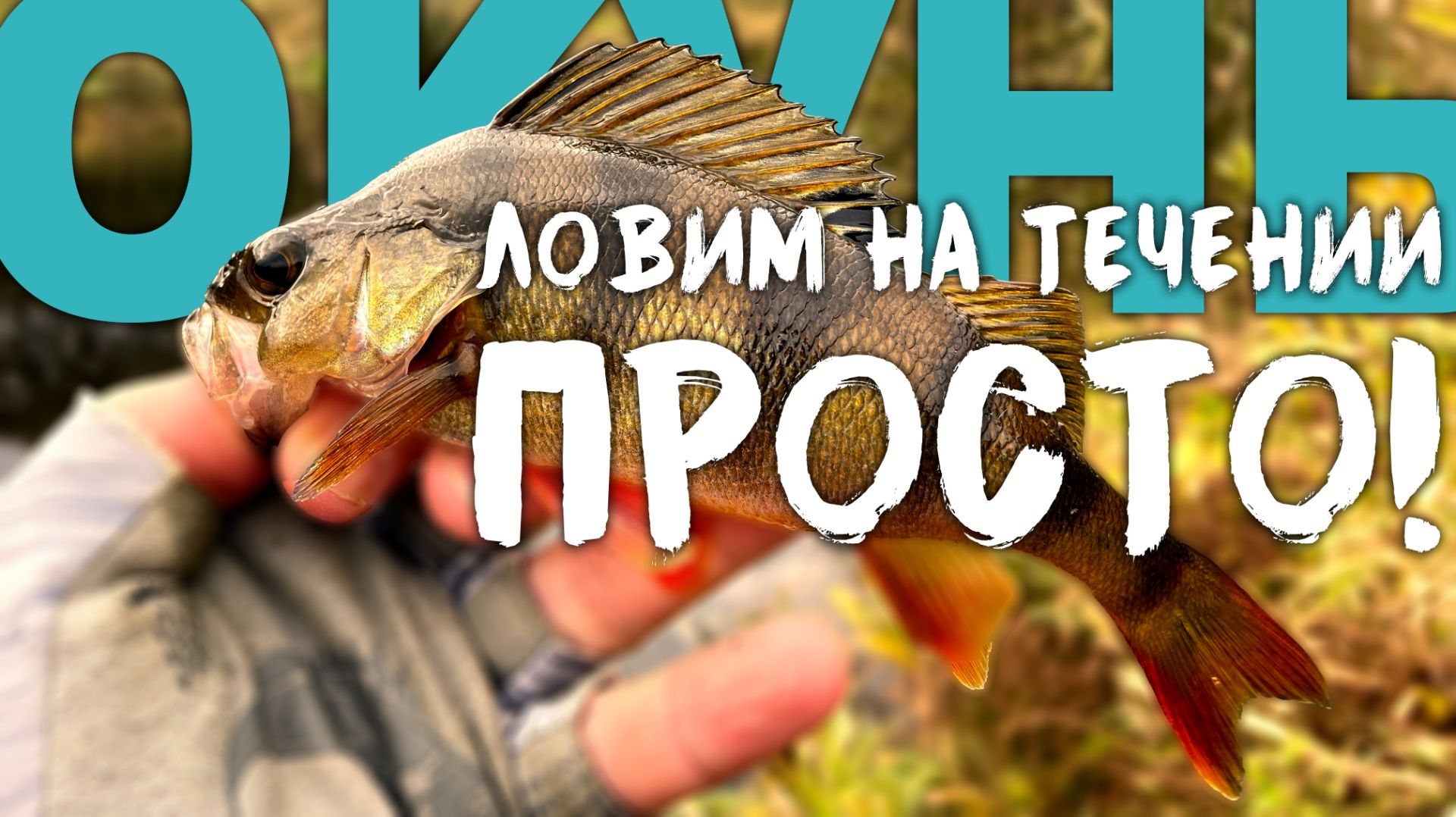 👌НЕХИТРЫЕ СОВЕТЫ, Как искать ОКУНЯ на ПЕРЕКАТАХ. Алгоритм поиска🤫#микроджиг смотреть онлайн