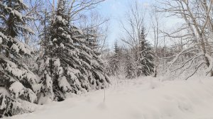 СРУБИТЬ НЕ ПОЛУЧИТСЯ