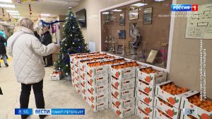 Вести Санкт-Петербург. Выпуск 08.35 от 29.12.2025